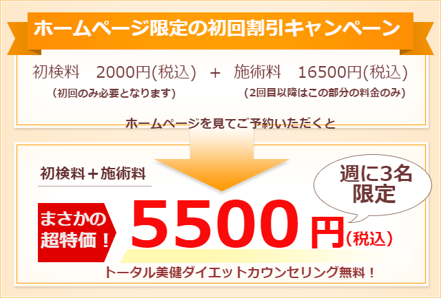 17000円が超特価5000円