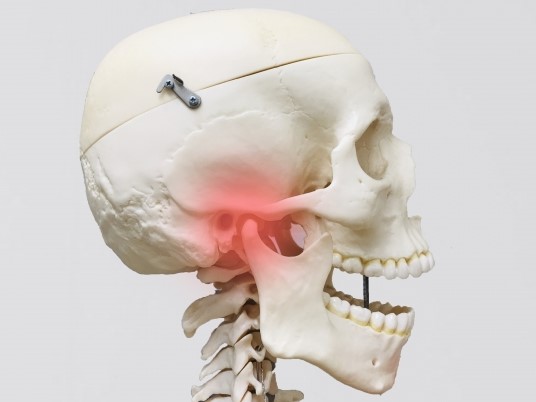 重要ポイント③　頭蓋骨・顎関節