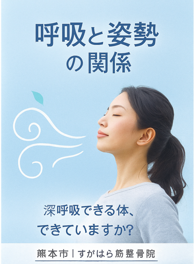 呼吸と姿勢の関係