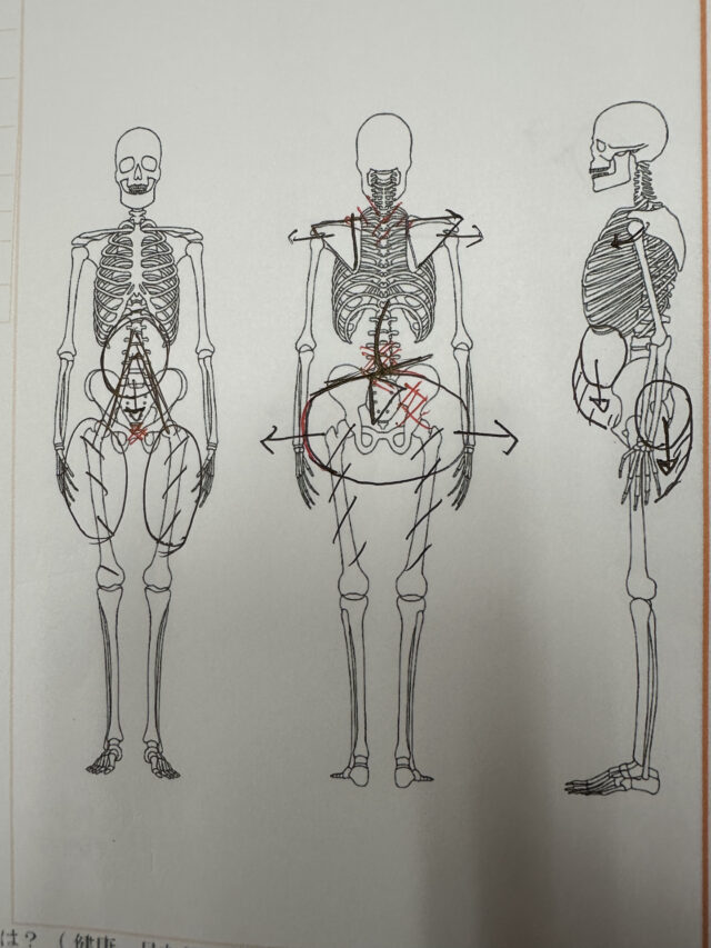 2人目の出産後に腰痛と体型の変化で来院｜30代女性の産後骨盤整体の経過