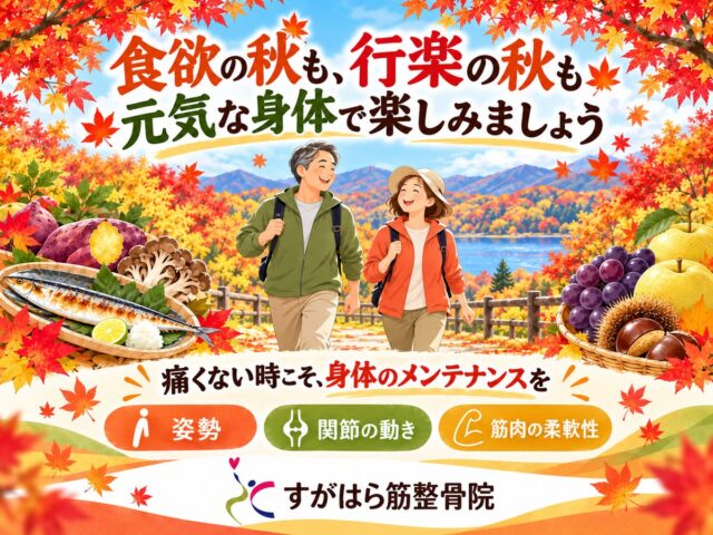 大切なのは元気に動ける身体