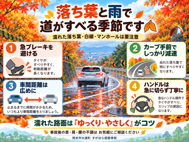 落ち葉と雨で道路が滑りやすい季節です